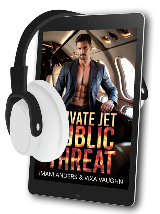 Private Jet, Public Threat